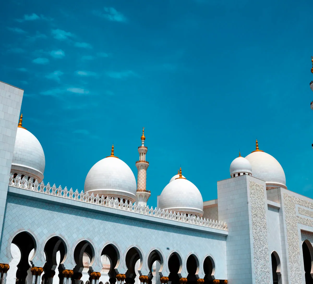 La Sheikh Zayed Grand Mosque ad Abu Dhabi